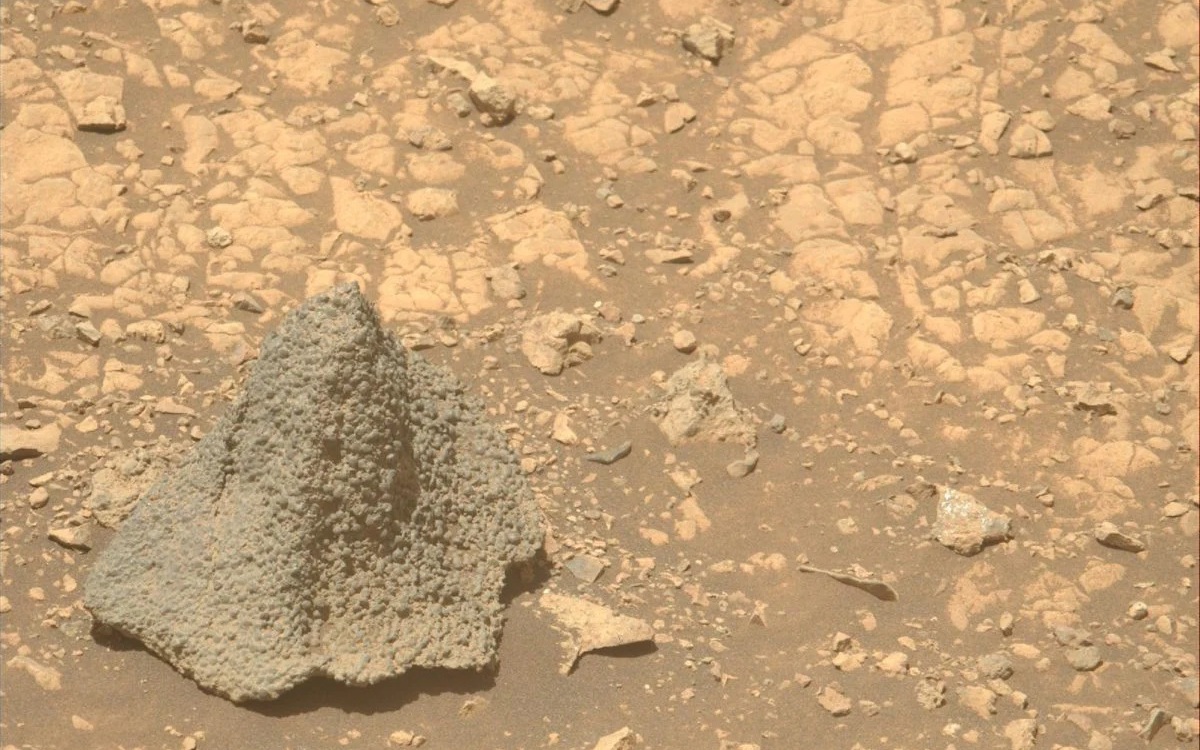 Một sinh vật Trái Đất có thể sống trên Sao Hỏa hiện tại - Ảnh 2.