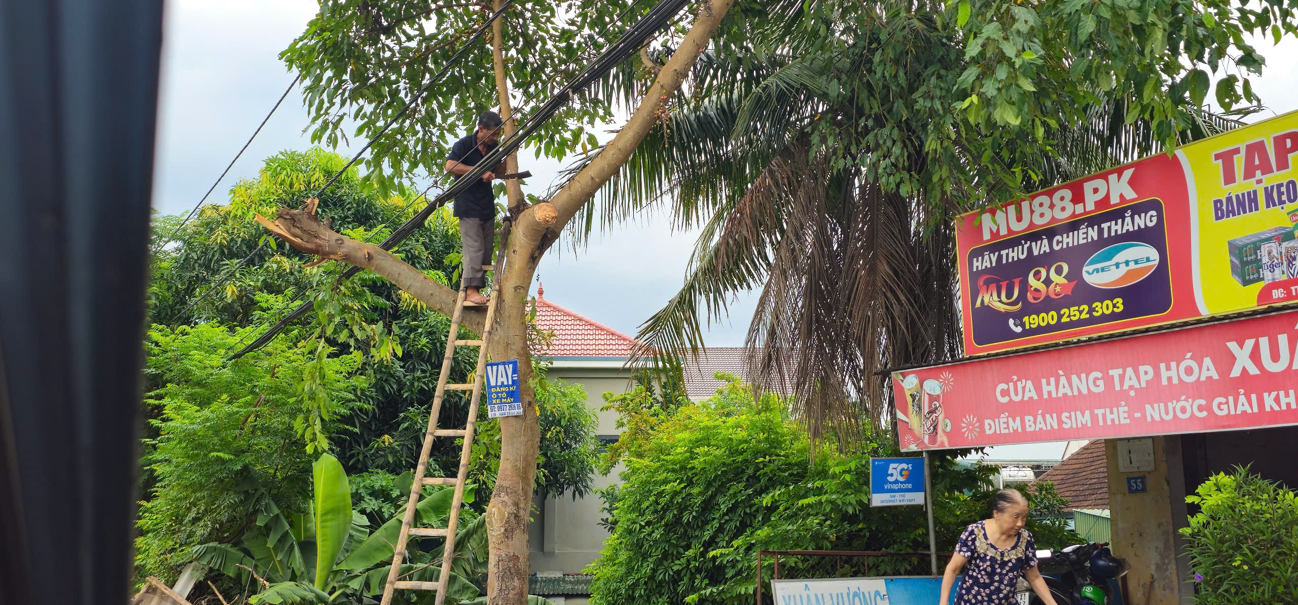 Hà Tĩnh khẩn trương ứng phó bão số 5 - Ảnh 8.