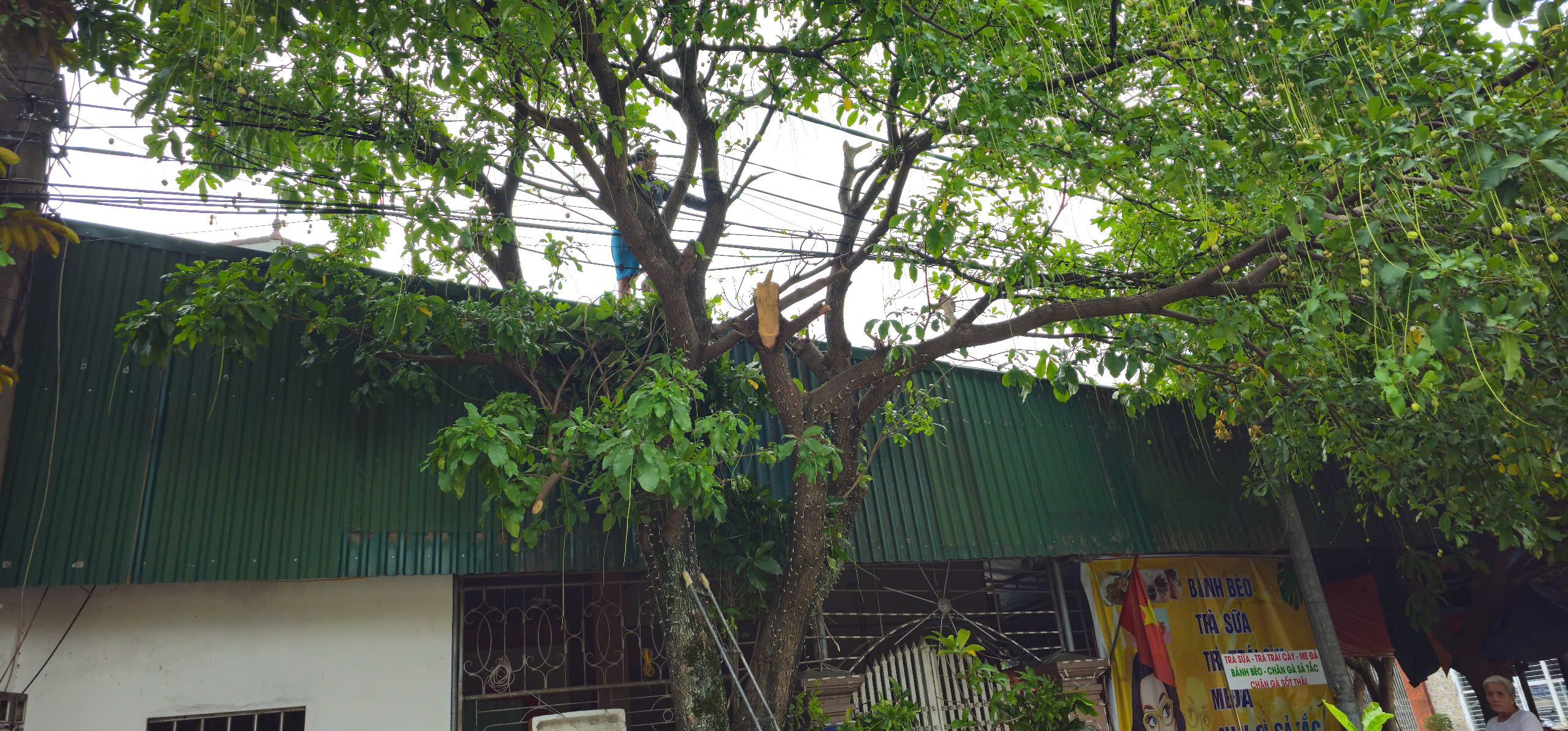 Hà Tĩnh khẩn trương ứng phó bão số 5 - Ảnh 2.