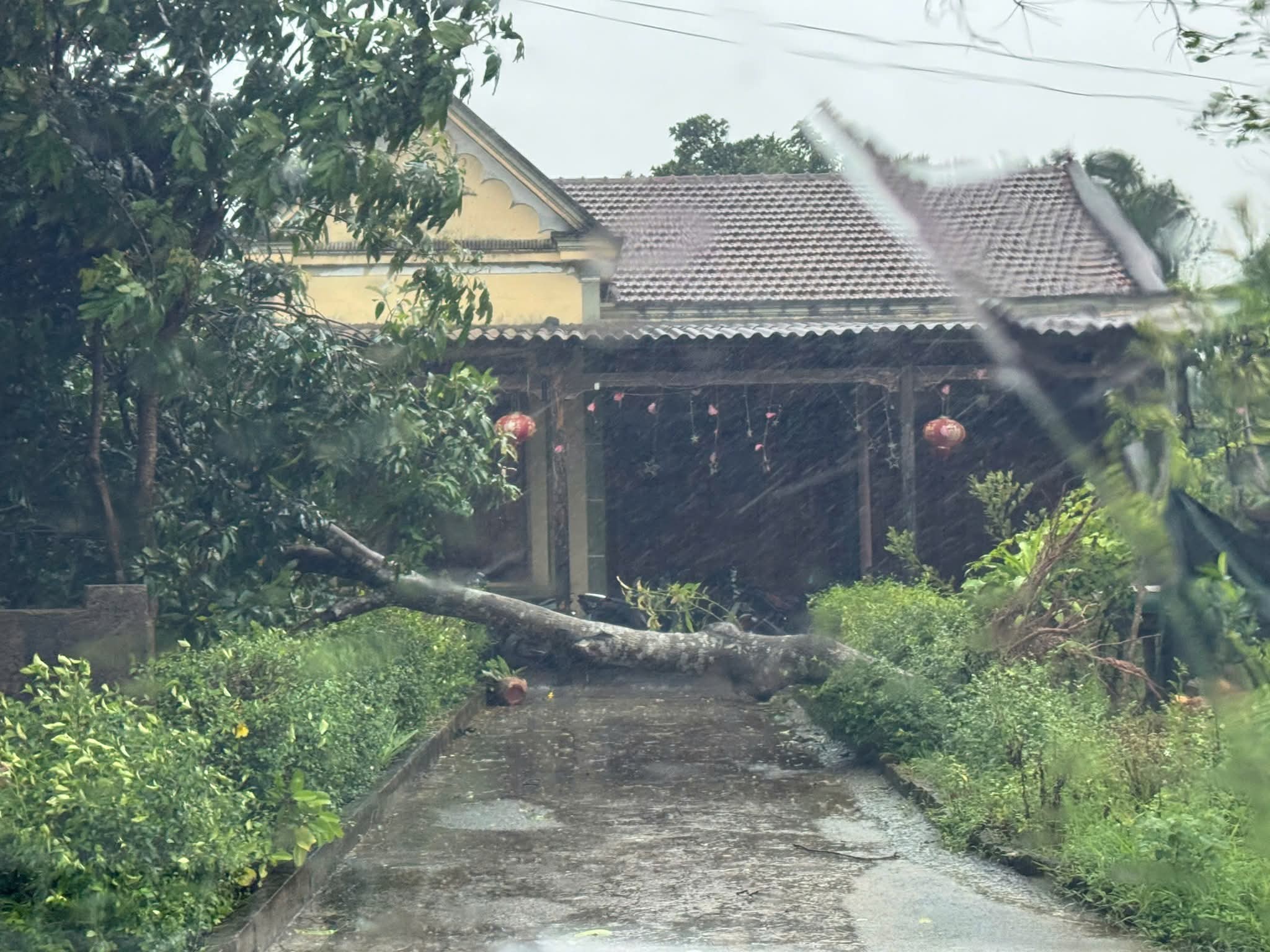 Bão số 5 (Kajiki): Hà Tĩnh có 3 người thương vong, nhiều nhà cửa tốc mái- Ảnh 5. Bão số 5 (Kajiki): Hà Tĩnh có 3 người thương vong, nhiều nhà cửa tốc mái- Ảnh 5.