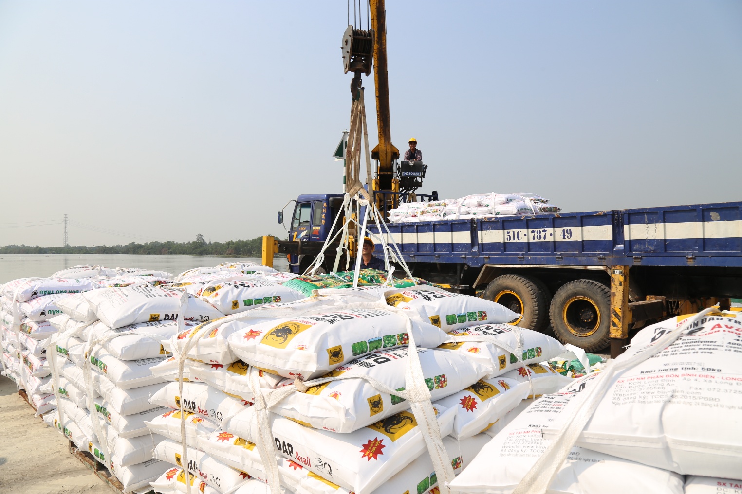 Bình Điền – Hành trình hơn nửa thế kỷ phụng sự nông dân và tầm nhìn tiên phong xanh hóa - số hóa- Ảnh 4.