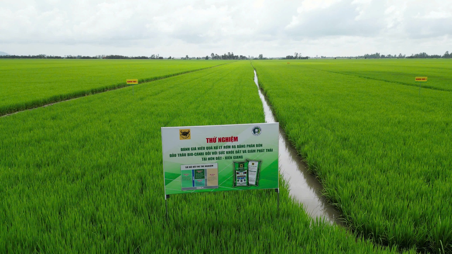 Bình Điền – Hành trình hơn nửa thế kỷ phụng sự nông dân và tầm nhìn tiên phong xanh hóa - số hóa- Ảnh 6.