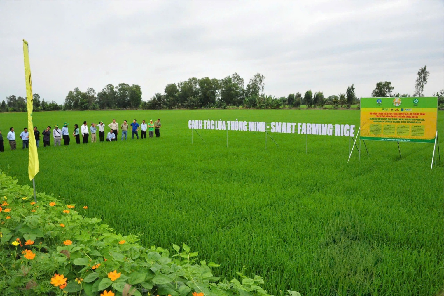 Bình Điền – Hành trình hơn nửa thế kỷ phụng sự nông dân và tầm nhìn tiên phong xanh hóa - số hóa- Ảnh 8.