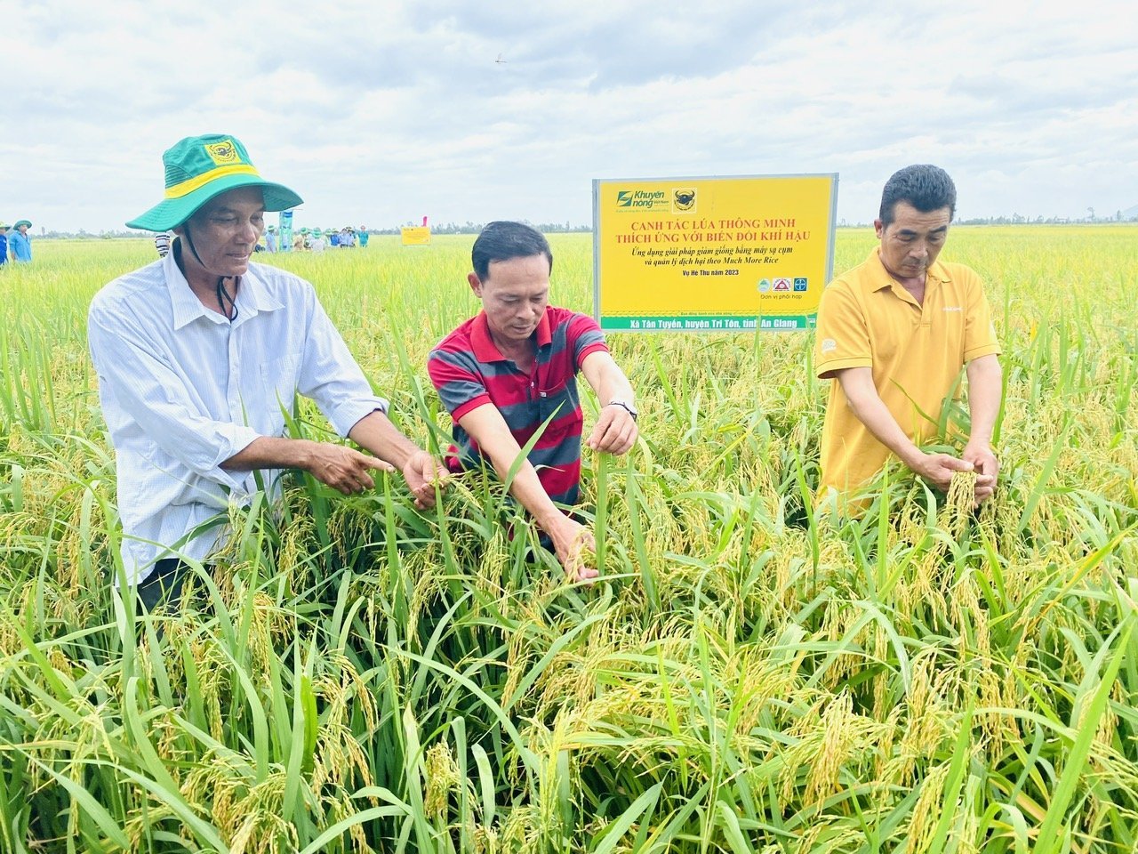 Bình Điền – Hành trình hơn nửa thế kỷ phụng sự nông dân và tầm nhìn tiên phong xanh hóa - số hóa- Ảnh 10.