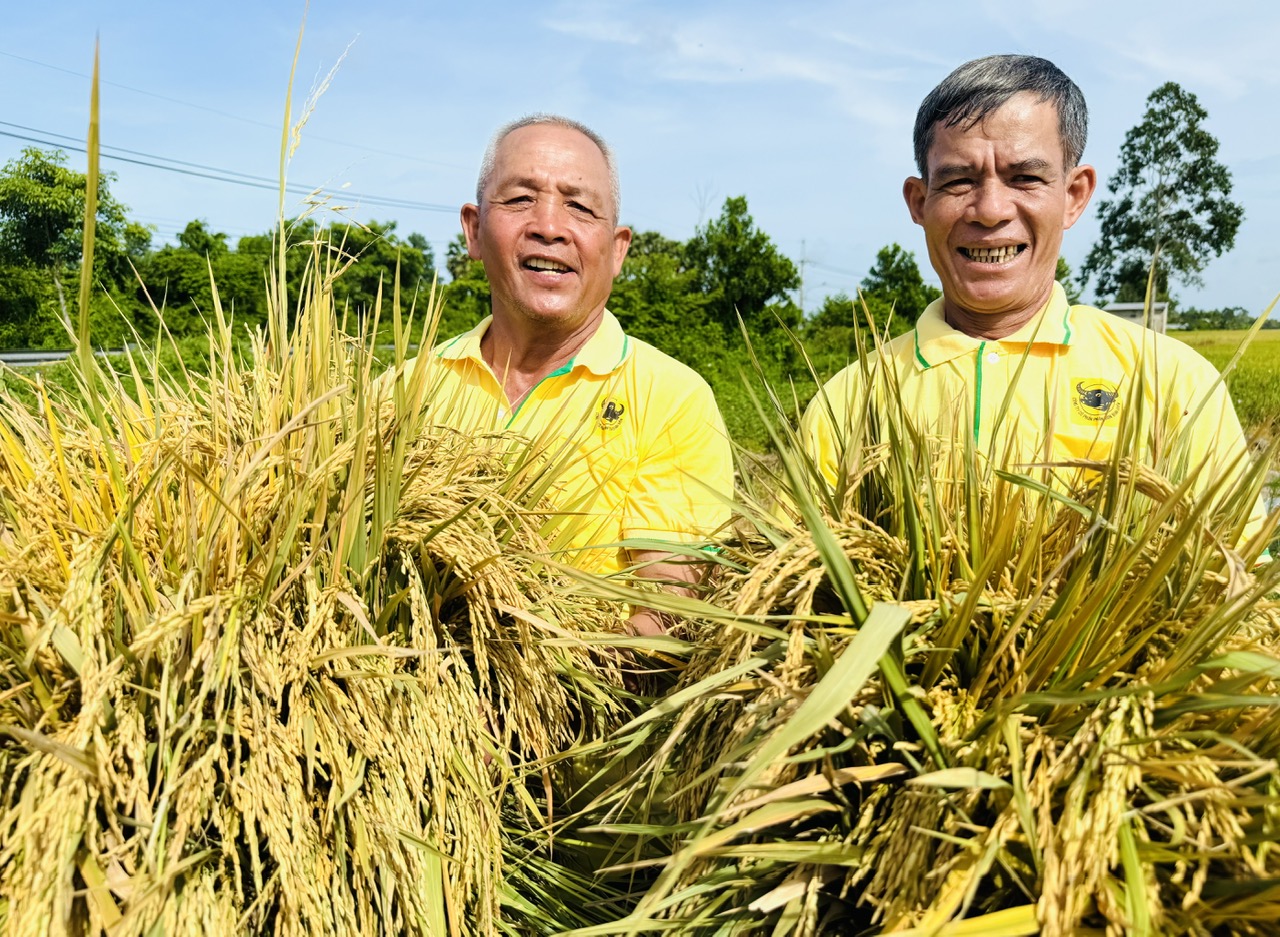Bình Điền – Hành trình hơn nửa thế kỷ phụng sự nông dân và tầm nhìn tiên phong xanh hóa - số hóa- Ảnh 12.