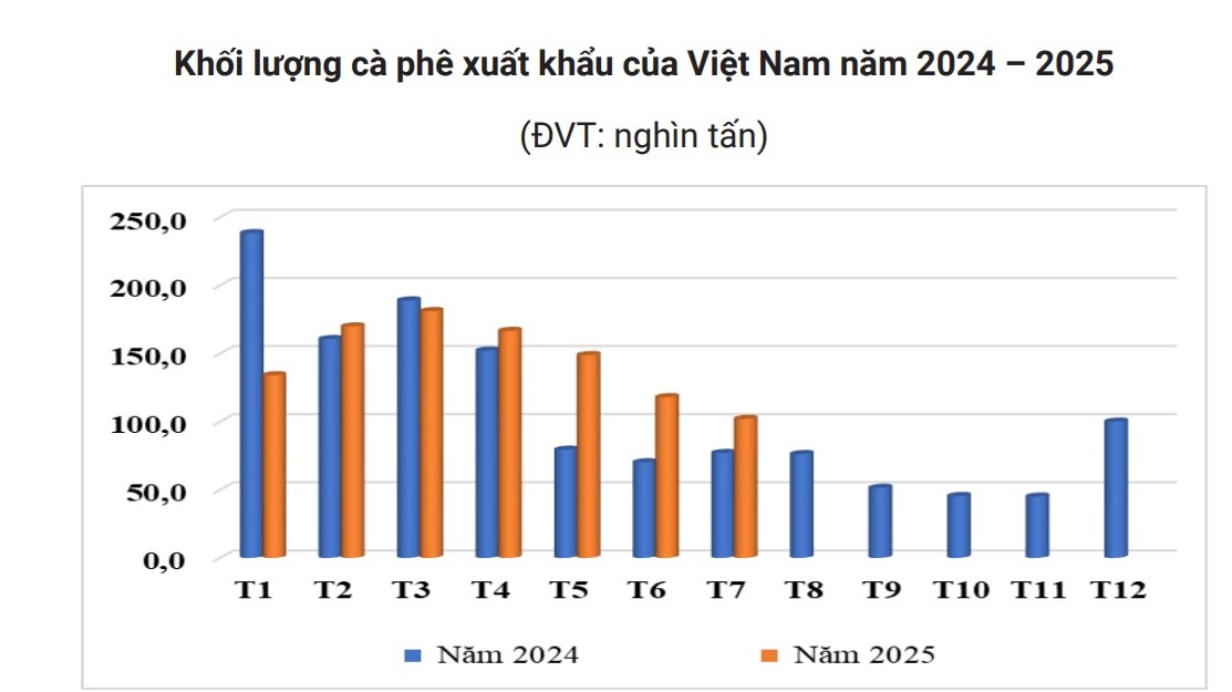 Giá cà phê hôm nay 26 - 8 giảm nhẹ sau tuần tăng nóng - Ảnh 2.