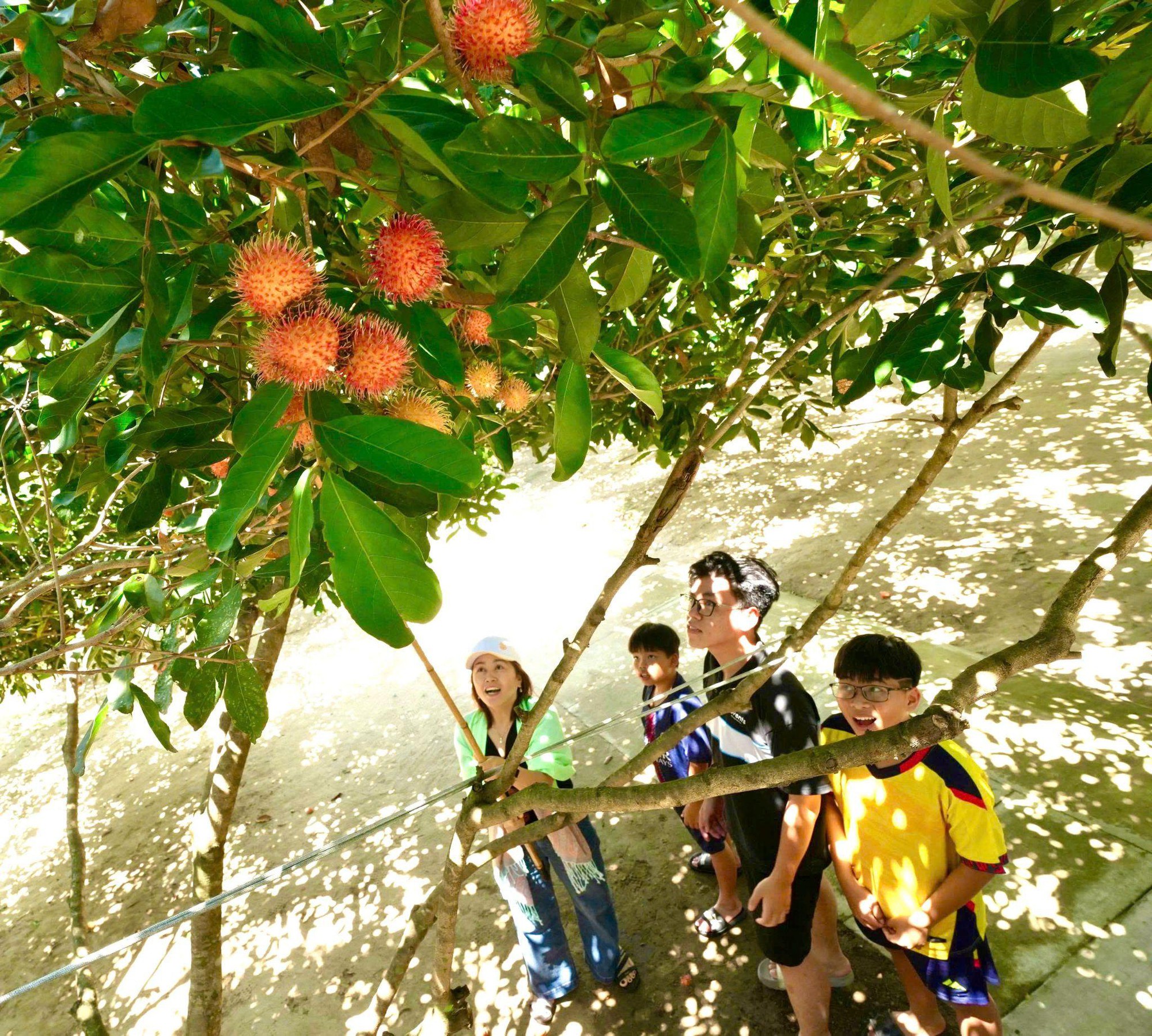 Lâm Sơn tổ chức Lễ hội trái cây, ẩm thực lần thứ I chào mừng Quốc khánh- Ảnh 2.