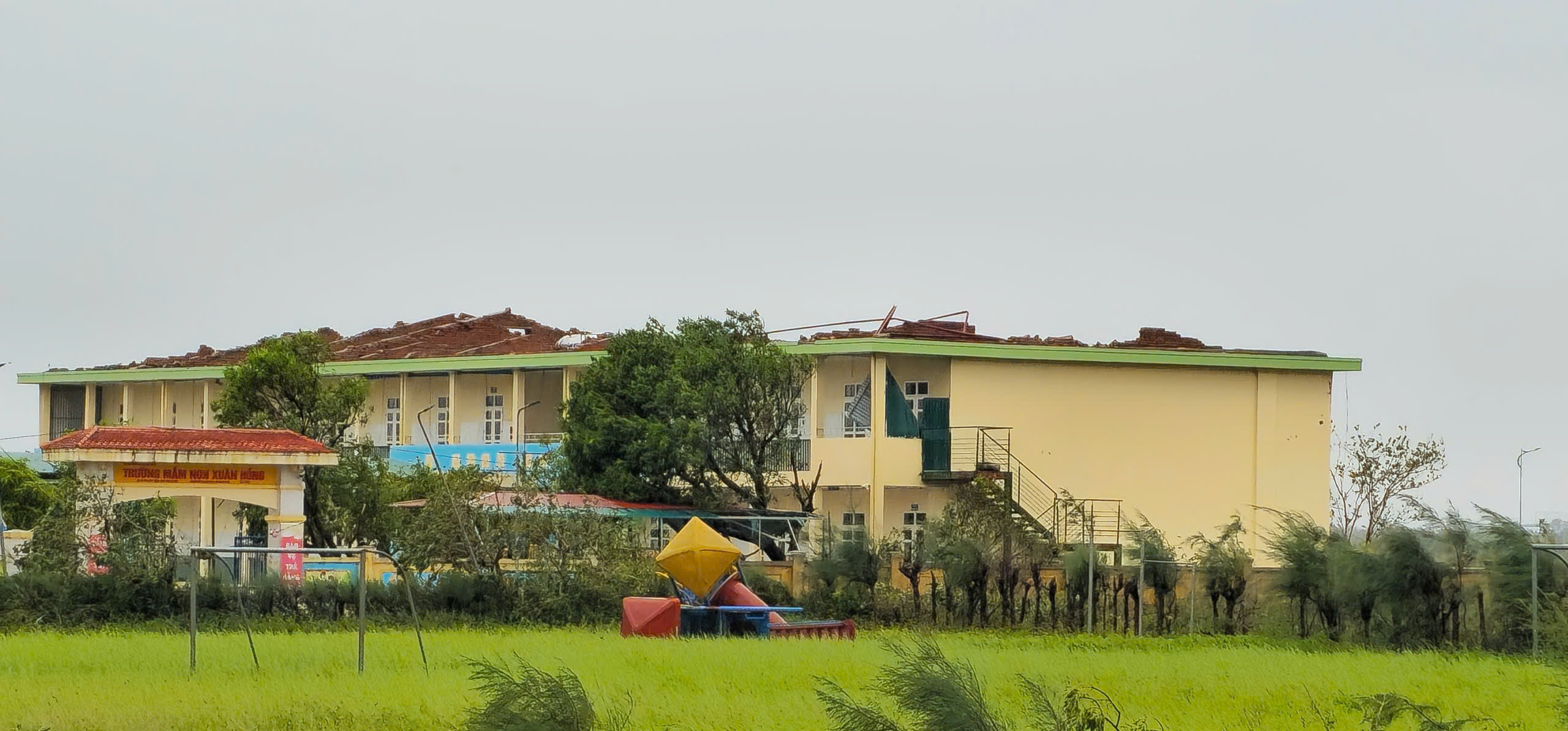 Hà Tĩnh: 10 người thương vong, hàng ngàn ngôi nhà cây cối bị gãy đổ, tốc mái do bão số 5- Ảnh 3.