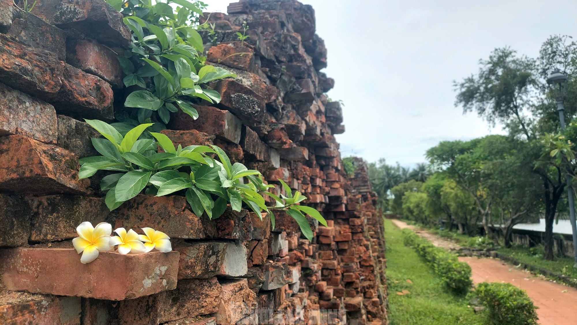 Sau phim Mưa đỏ, cùng ngắm Thành cổ Quảng Trị trong sắc xanh cỏ non- Ảnh 13. Sau phim Mưa đỏ, cùng ngắm Thành cổ Quảng Trị trong sắc xanh cỏ non- Ảnh 13.