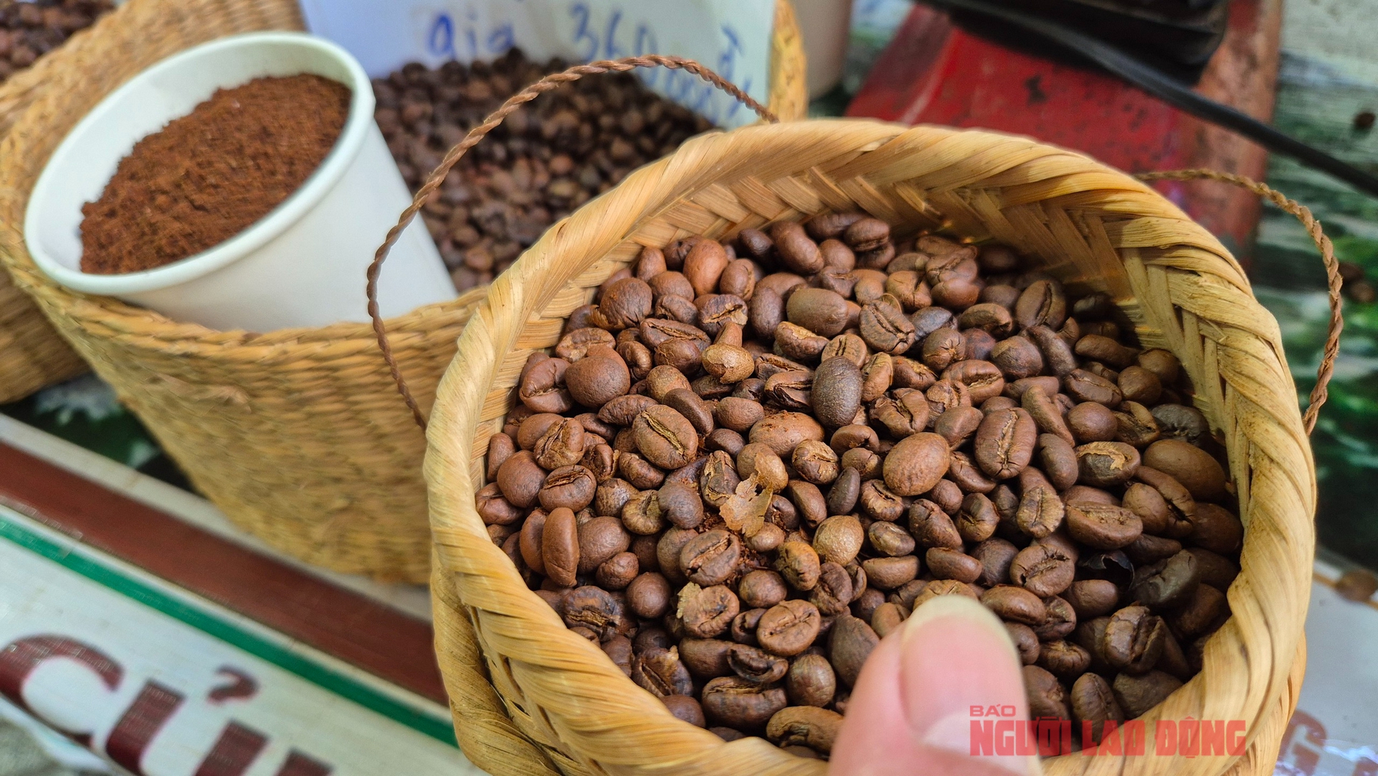 Giá cà phê hôm nay 29 - 8: Xu hướng giảm Giá và ảnh hưởng từ Mỹ - Ảnh 1. Giá cà phê hôm nay 29 - 8: Xu hướng giảm Giá và ảnh hưởng từ Mỹ - Ảnh 1.