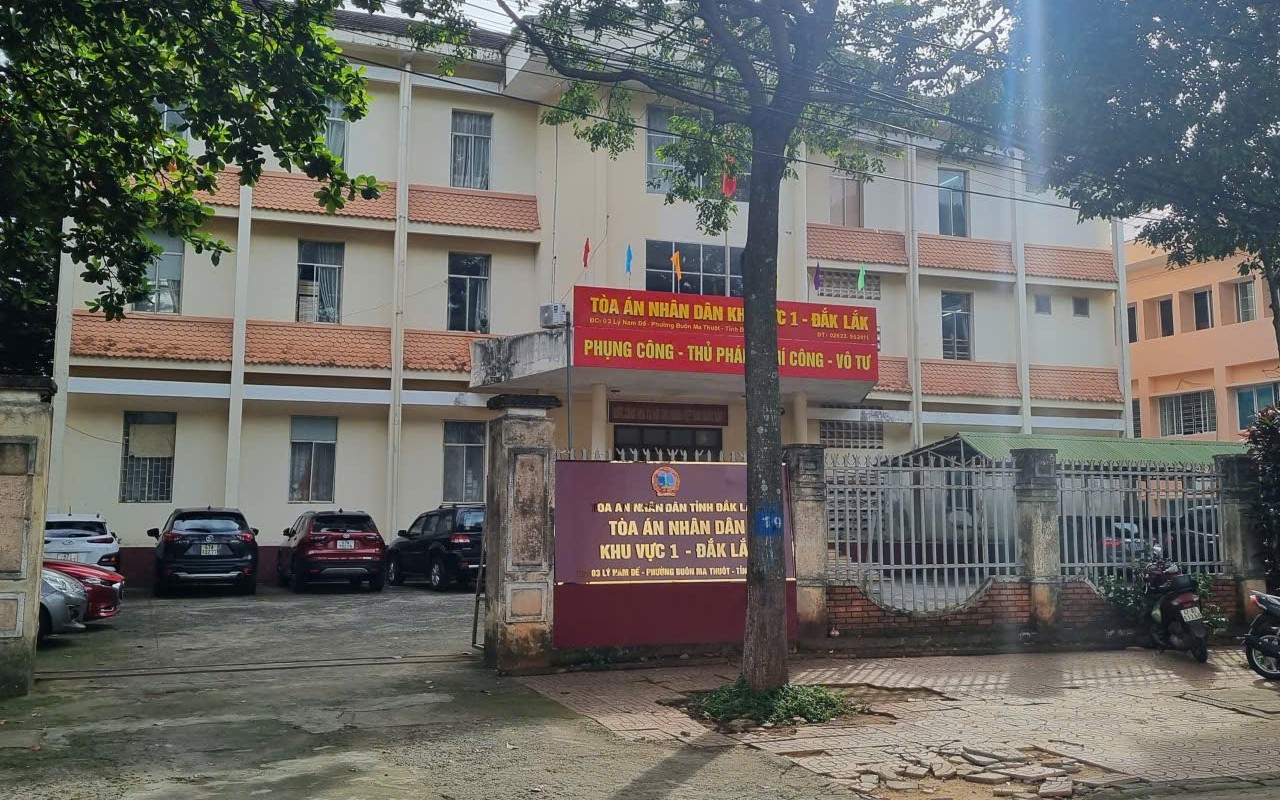 Chánh án TAND ở Gia Lai hối lộ 350 triệu đồng "giải cứu" vợ thẩm phán- Ảnh 2.