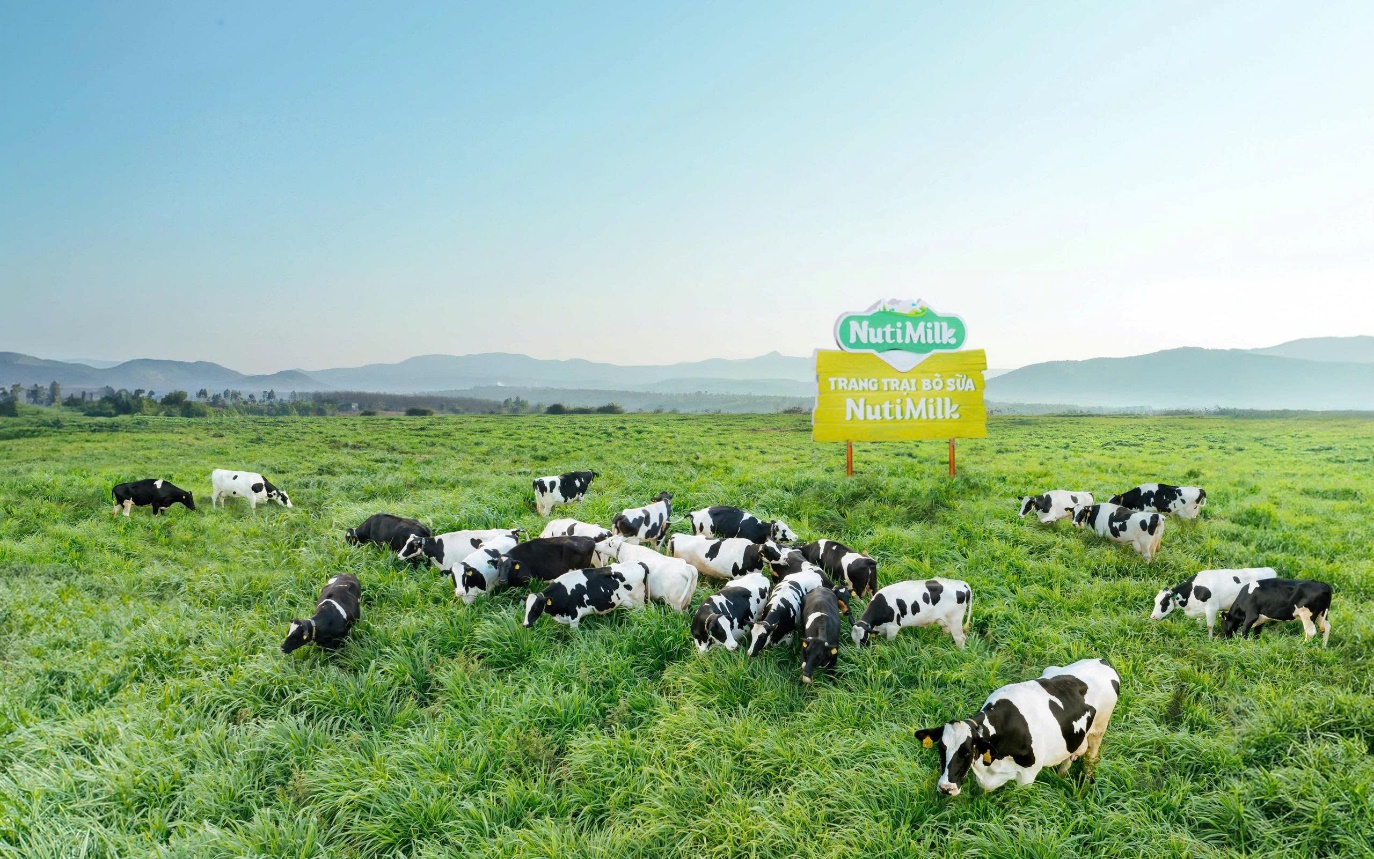 Nông dân Gia Lai “lên đời” nhờ công nghệ số - Ảnh 5.