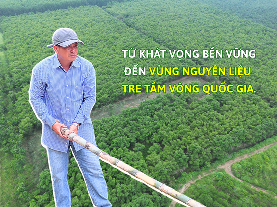 Ông Bùi Văn Đàm khẳng định giá trị tre tầm vông Bình Phước- Ảnh 1.