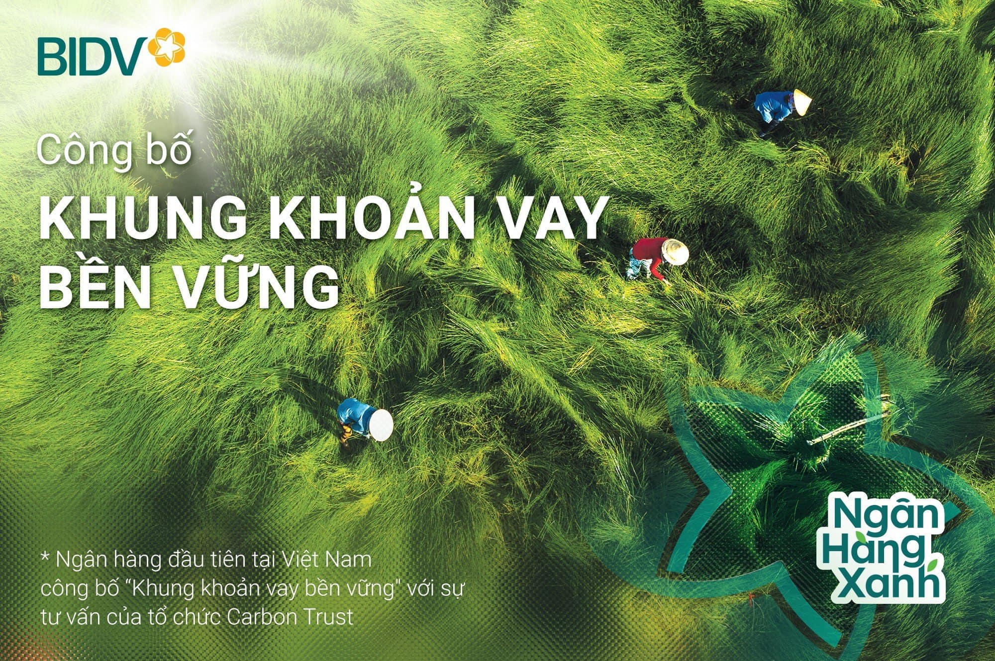 BID vào Top 20 cổ phiếu phát triển bền vững nhất Việt Nam lần thứ 2 liên tiếp- Ảnh 1.