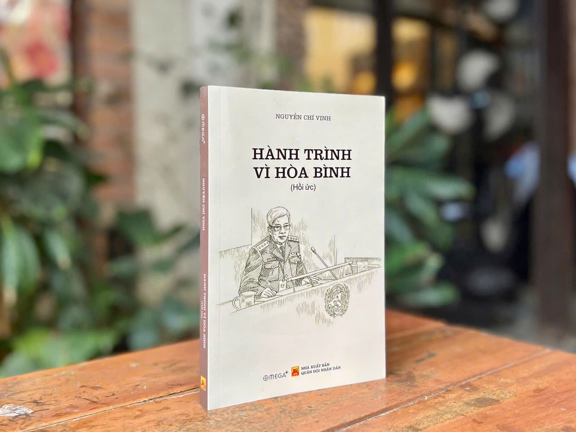 Bộ sách “Tướng Thanh - Tướng Vịnh”: Dấu ấn lịch sử và nhân văn - Ảnh 2.