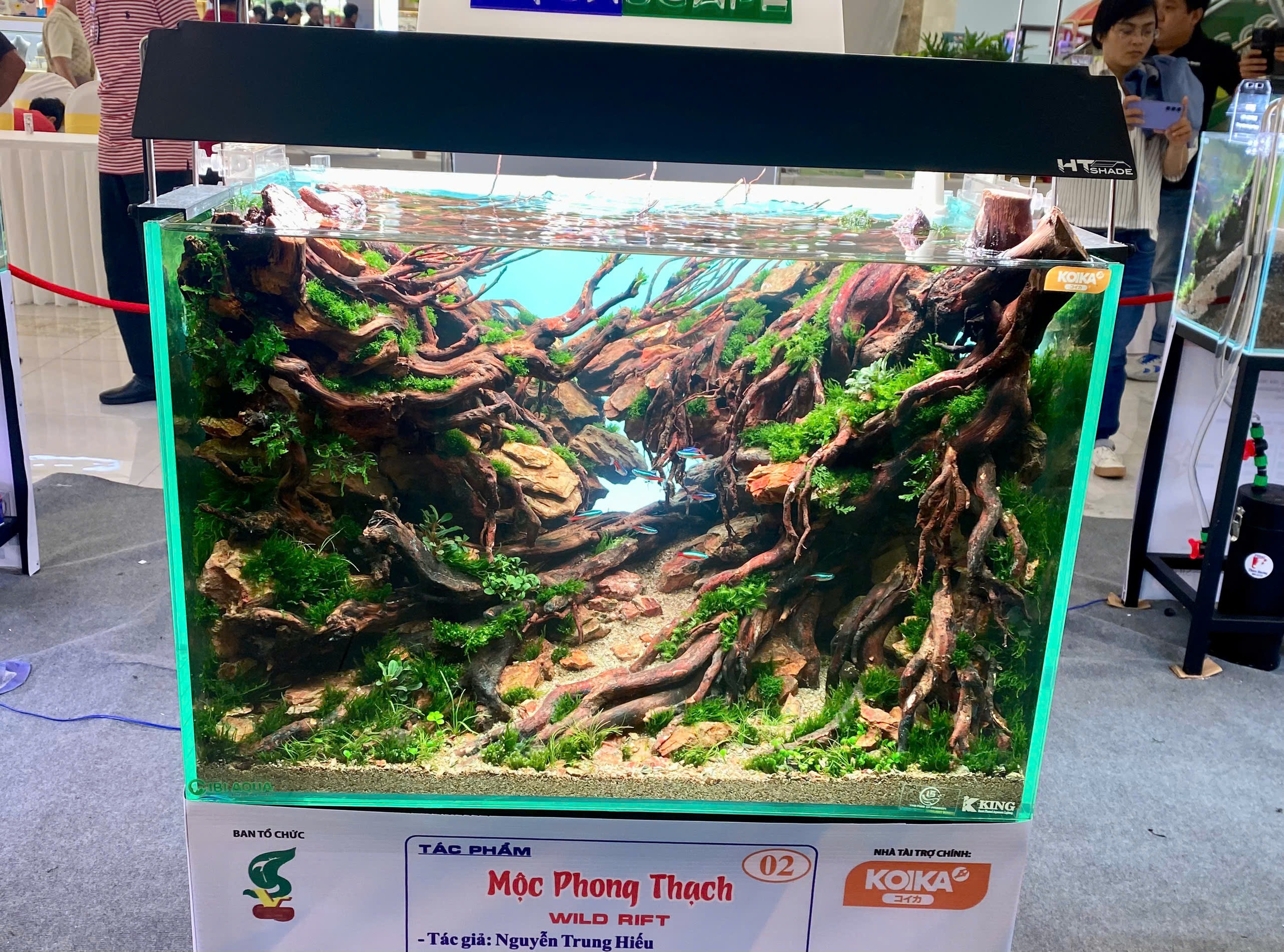 Lần đầu chiêm ngưỡng "ngón nghề" thủy sinh của các cao thủ thế giới- Ảnh 6.