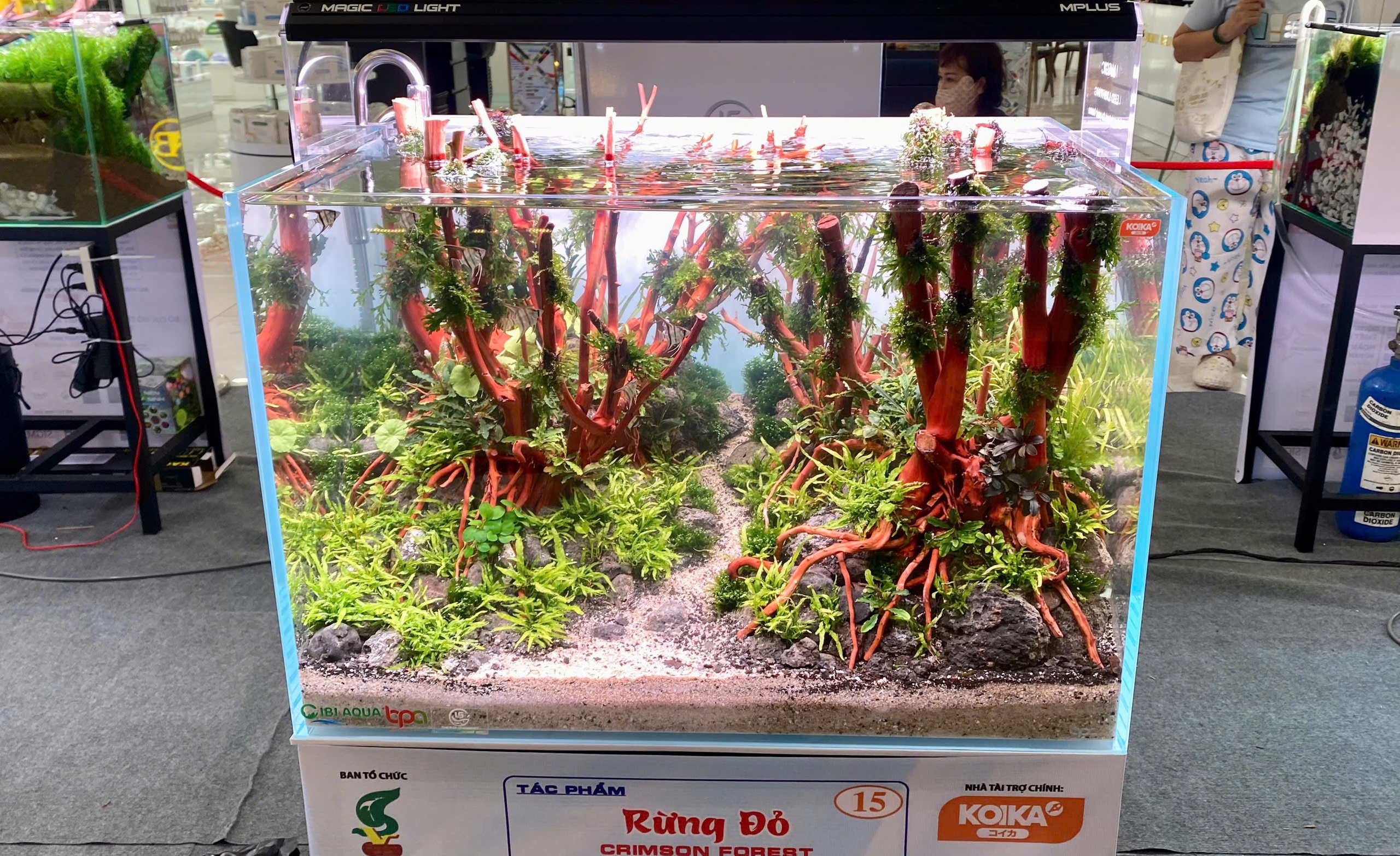 Lần đầu chiêm ngưỡng "ngón nghề" thủy sinh của các cao thủ thế giới- Ảnh 5.
