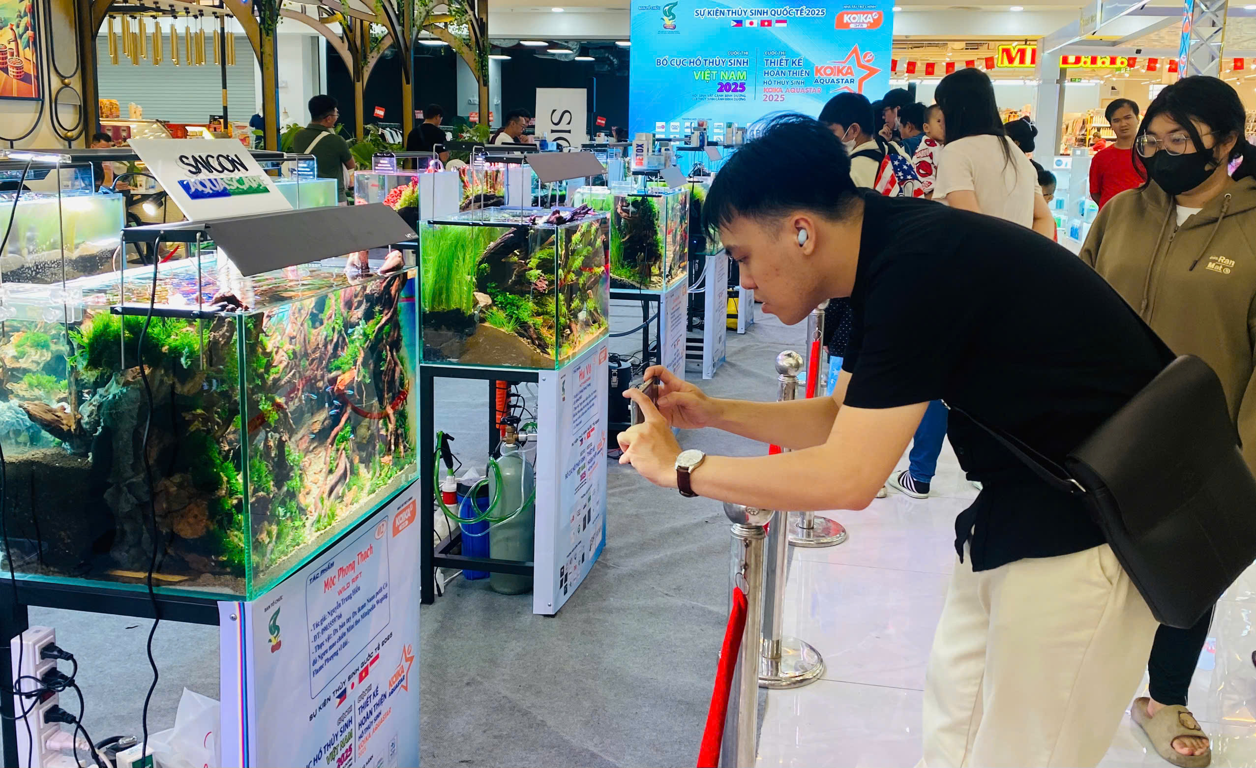 Lần đầu chiêm ngưỡng "ngón nghề" thủy sinh của các cao thủ thế giới- Ảnh 1.
