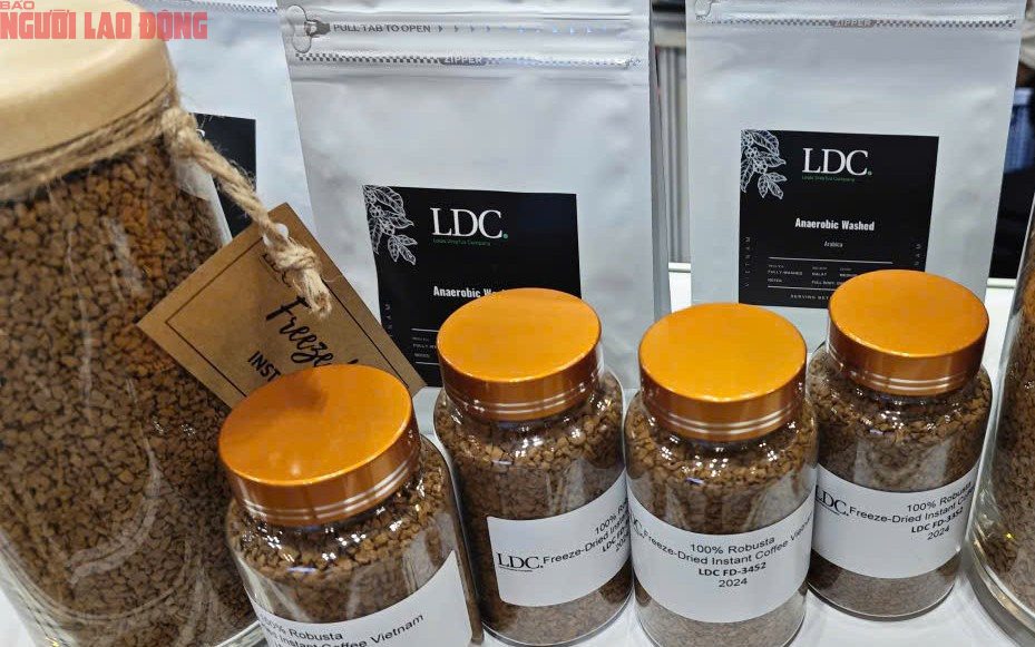 Phát triển cà phê đặc sản: Tiềm năng và thách thức của cà phê Việt Nam - Ảnh 5. Phát triển cà phê đặc sản: Tiềm năng và thách thức của cà phê Việt Nam - Ảnh 5.