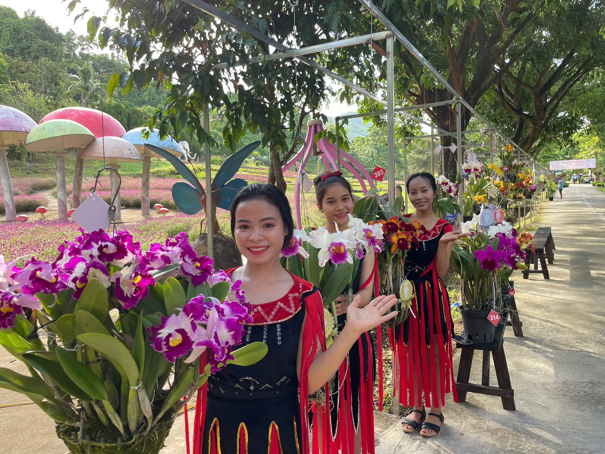 Obdivujte přírodní mistrovské dílo letních orchidejí v Khanh Hoa - Foto 1. Ngắm kiệt tác thiên nhiên hoa lan mùa hạ tại Khánh Hòa- Ảnh 1.