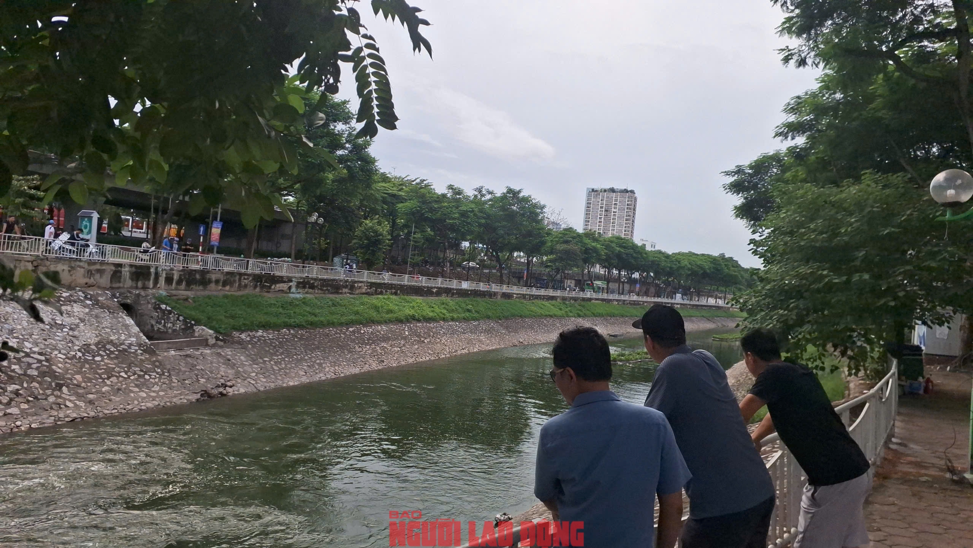 VIDEO: Người dân ngỡ ngàng ngắm dòng nước trong xanh của sông Tô Lịch- Ảnh 3.