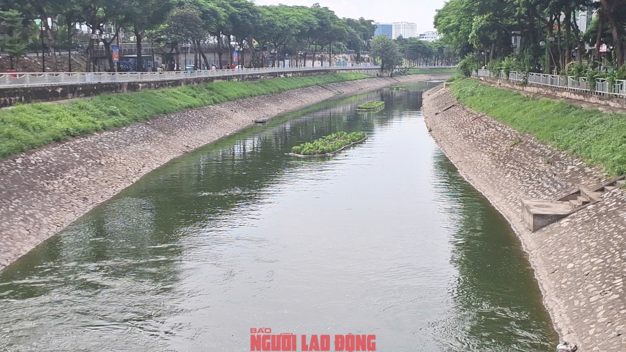 VIDEO: Người dân ngỡ ngàng ngắm dòng nước trong xanh của sông Tô Lịch- Ảnh 9.