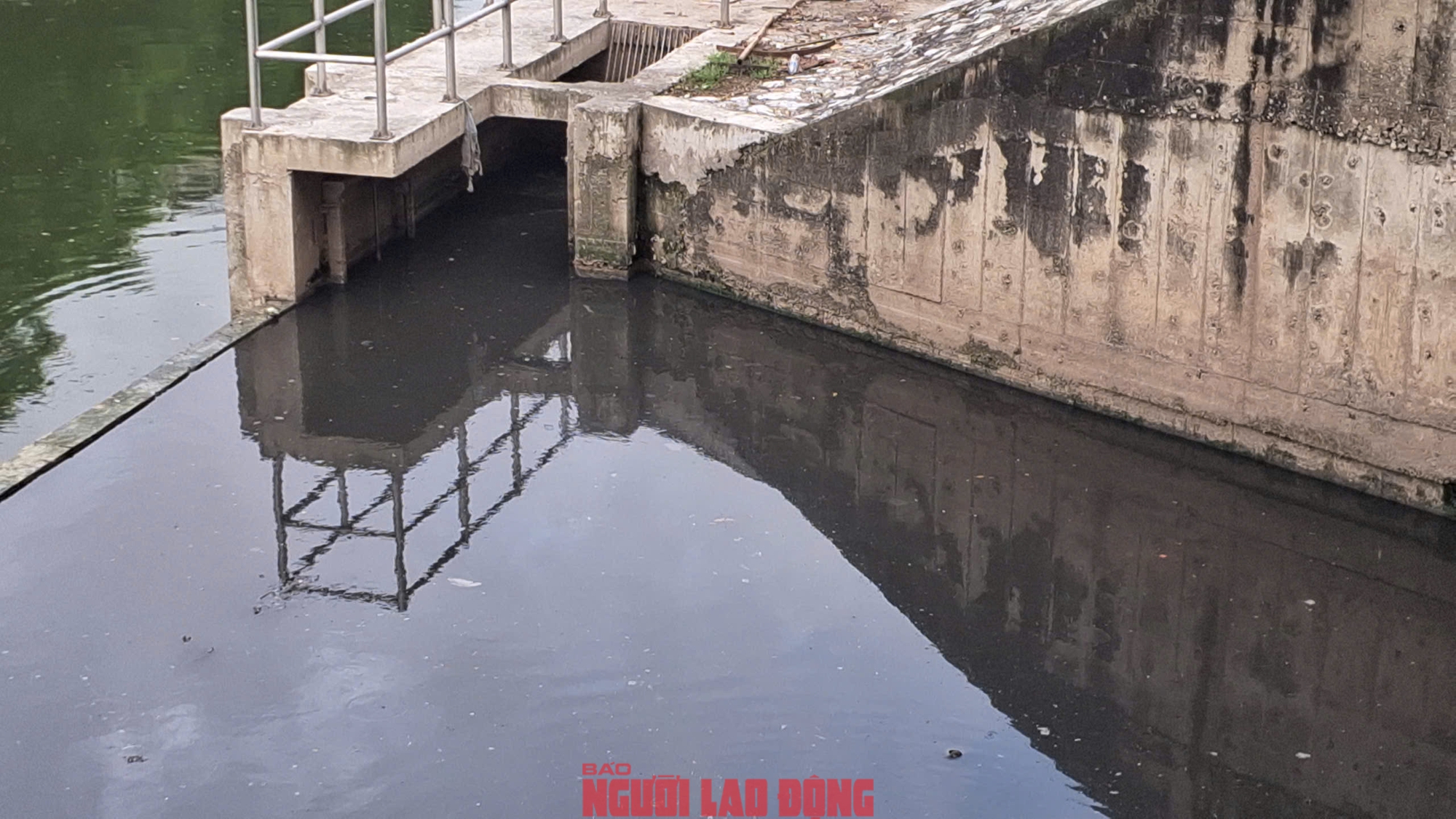 VIDEO: Người dân ngỡ ngàng ngắm dòng nước trong xanh của sông Tô Lịch- Ảnh 8.