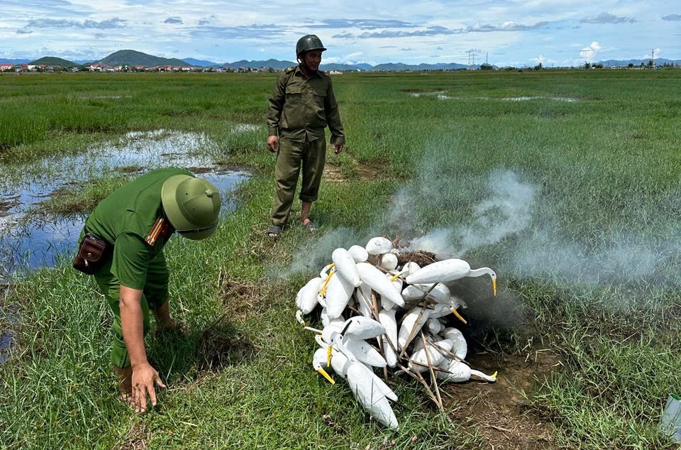 Bóc mẽ sự thật phía sau cánh đồng quê ở Quảng Trị- Ảnh 1.