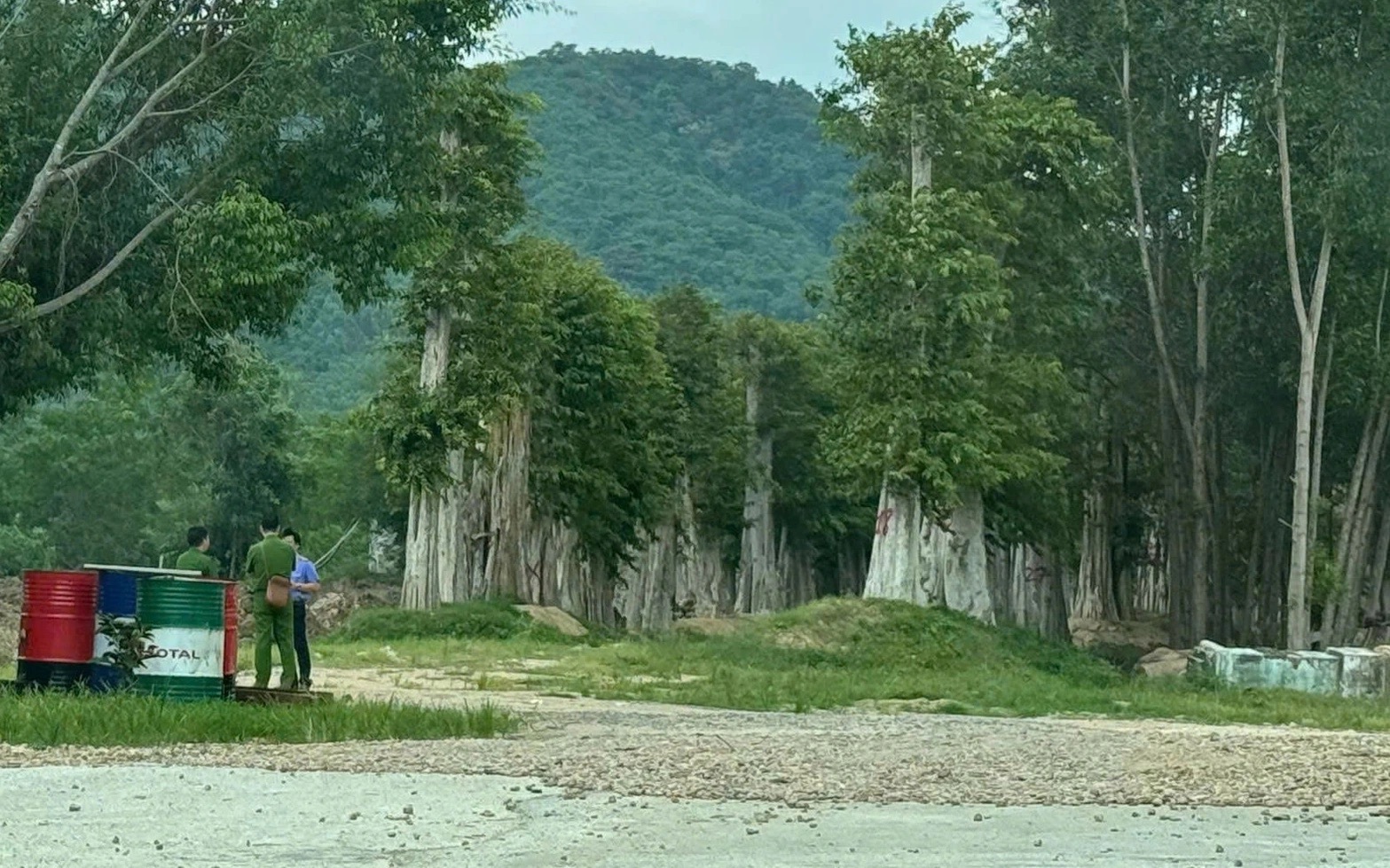Gia Lai: Tạm đình chỉ sinh hoạt Đảng 5 cán bộ bị Bộ Công an khởi tố, bắt tạm giam- Ảnh 2.