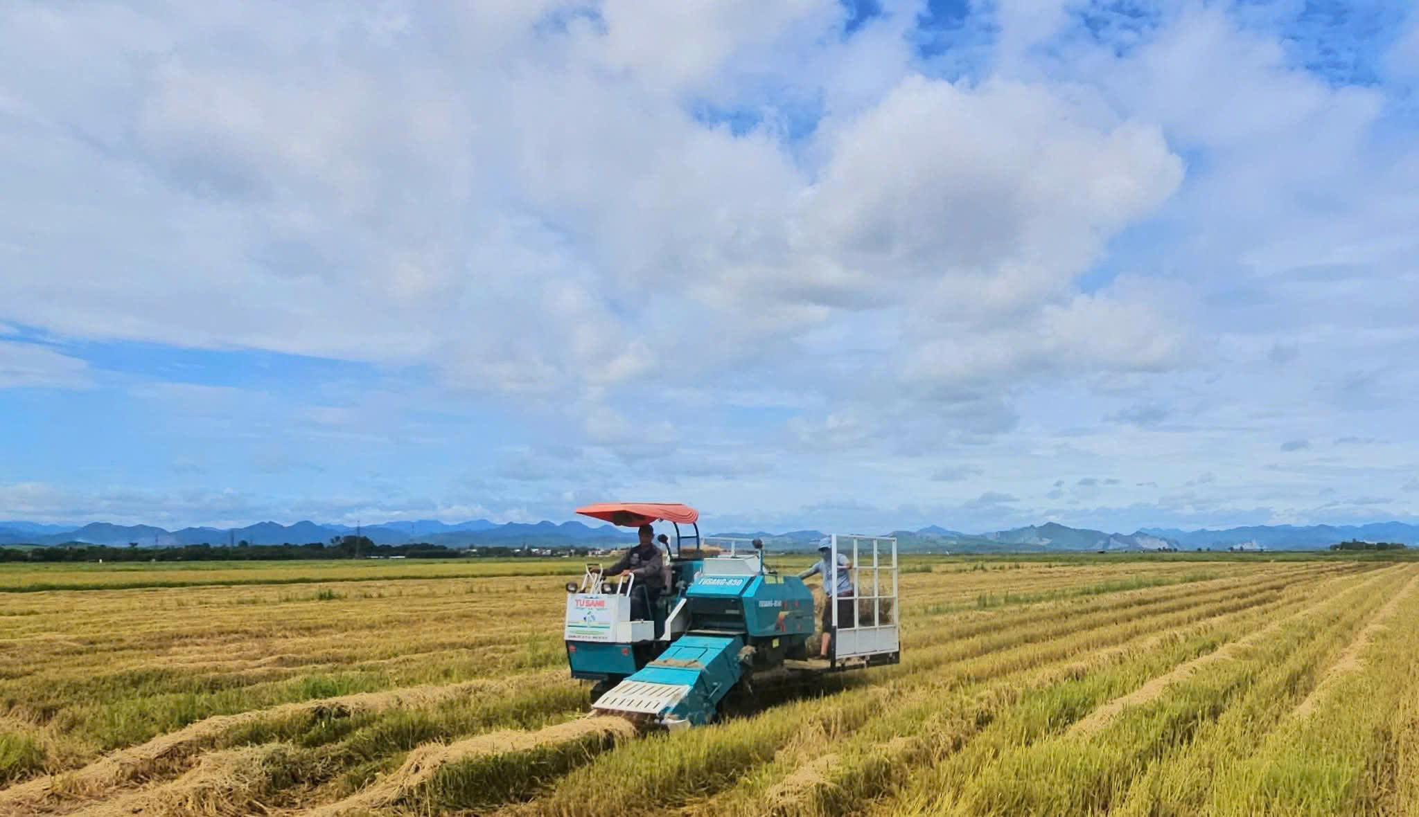 Cách "hái ra tiền" của một vùng quê ở Quảng Trị- Ảnh 2.