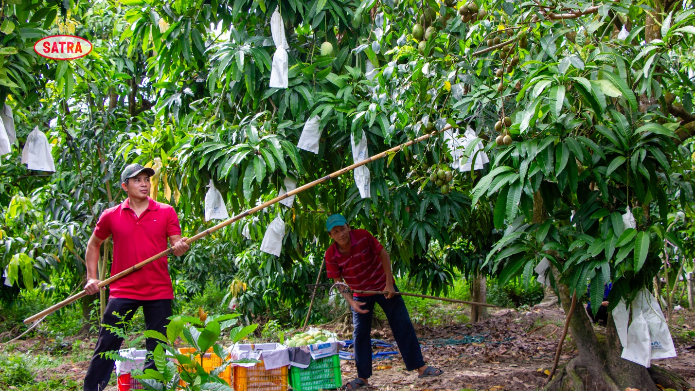 COFIDEC xanh hóa sản xuất, vươn tầm thủy sản Việt- Ảnh 1.