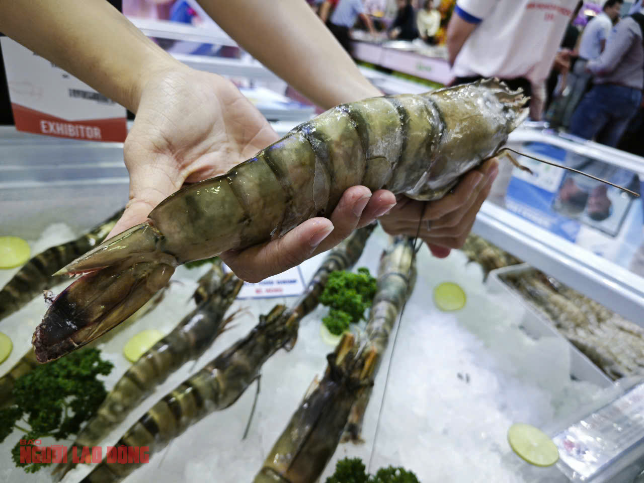 Trung Quốc trở thành thị trường nhập khẩu tôm số 1 của Việt Nam, vượt cả Mỹ - Ảnh 2. Trung Quốc trở thành thị trường nhập khẩu tôm số 1 của Việt Nam, vượt cả Mỹ - Ảnh 2.