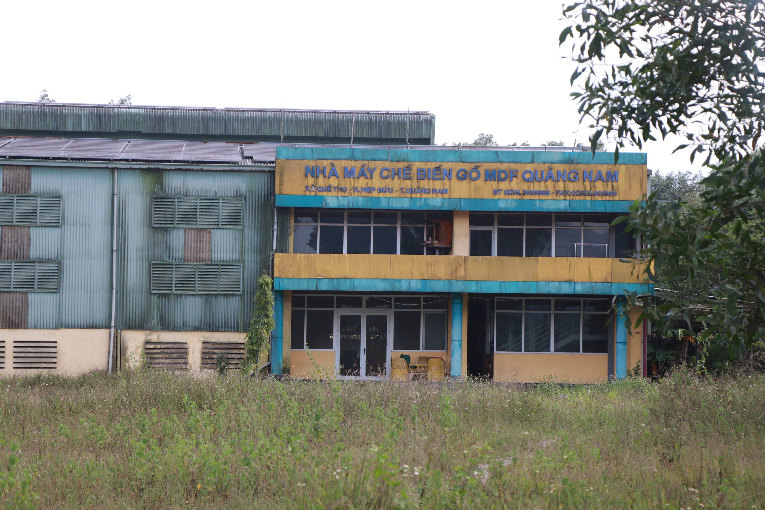 Nhà máy 500 tỉ ở Đà Nẵng "chết yểu", người dân bị vạ lây- Ảnh 1.