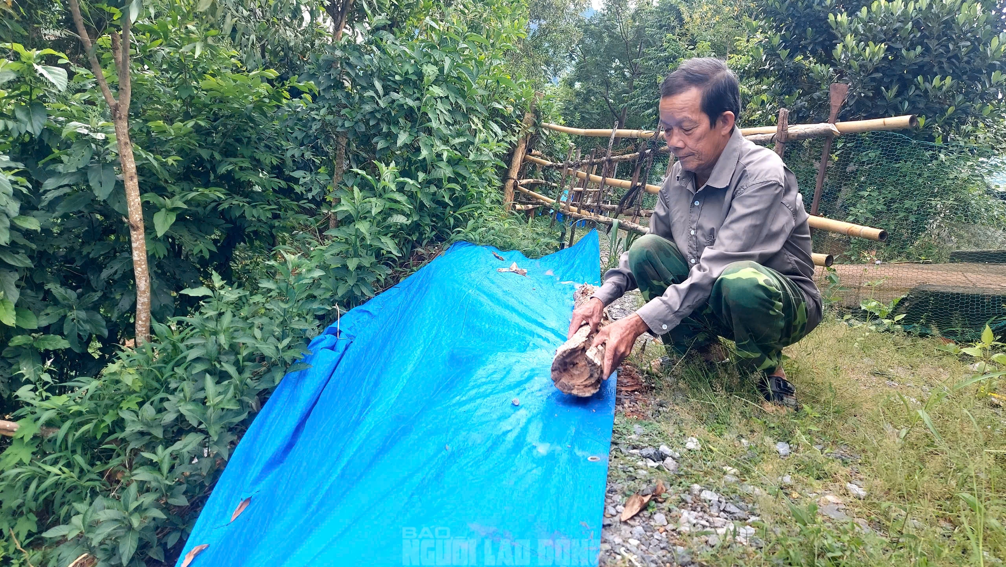Giải pháp ngăn sạt lở suối A Chùm tại xã Lao Bảo Quảng Trị - Ảnh 8.