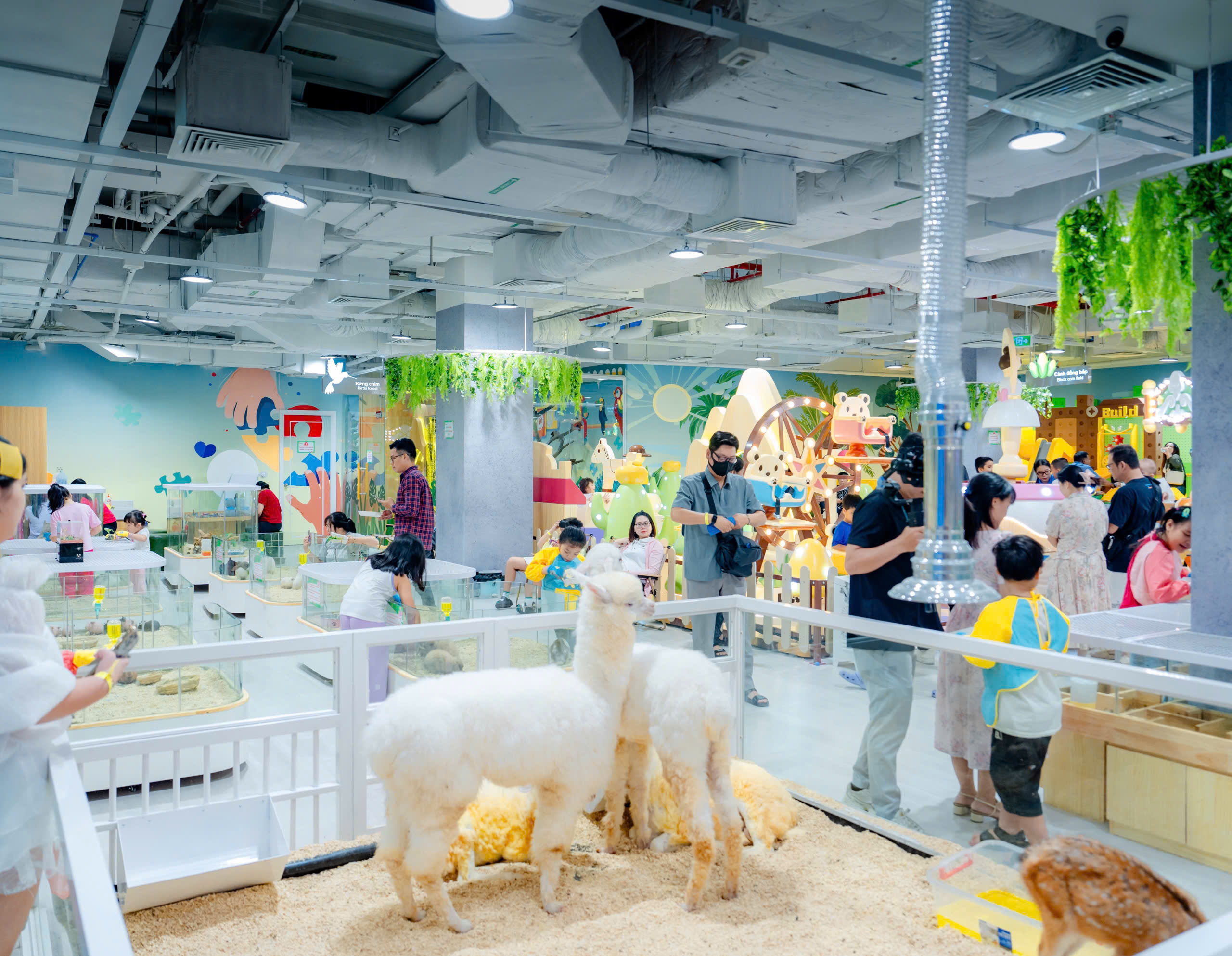 SC VivoCity kỷ niệm 10 năm gắn kết khách hàng- Ảnh 3. SC VivoCity kỷ niệm 10 năm gắn kết khách hàng- Ảnh 3.
