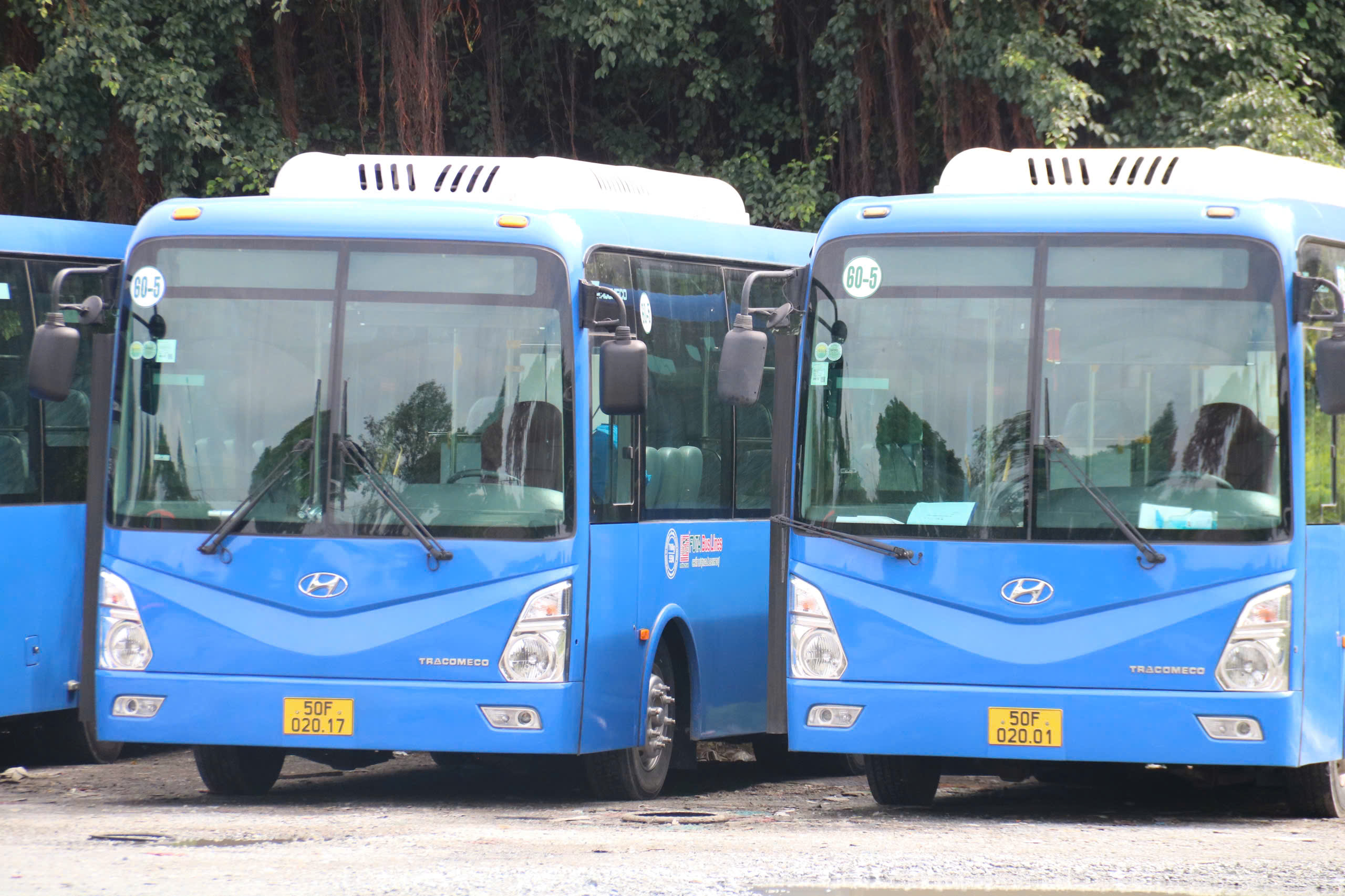 Xe buýt 60-5 “cứu nguy” sinh viên KTX khu B - Ảnh 1.