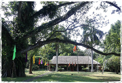 Nơi ghi dấu mùa thu lịch sử - Ảnh 2.