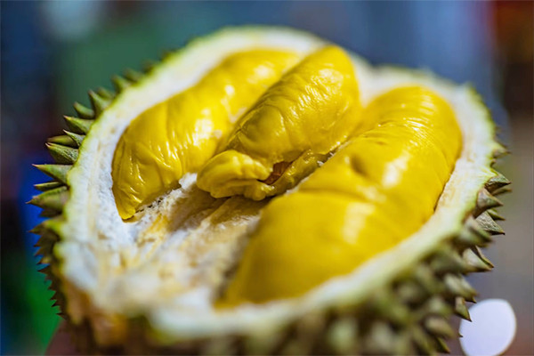 Gia đình du khách ăn sầu riêng 5 , 5 kg trước giờ bay ở Chiang Mai - Ảnh 4. Gia đình du khách ăn sầu riêng 5 , 5 kg trước giờ bay ở Chiang Mai - Ảnh 4.