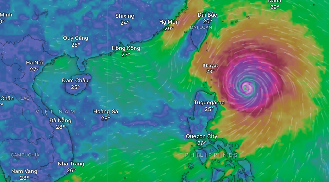 Bão Ragasa mạnh như bão Yagi, dự báo đổ bộ vào khu vực nào của Việt Nam?- Ảnh 1.