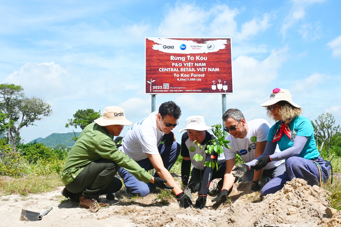 P&G và Central Retail chung tay trồng rừng tại Tà Kóu- Ảnh 1.