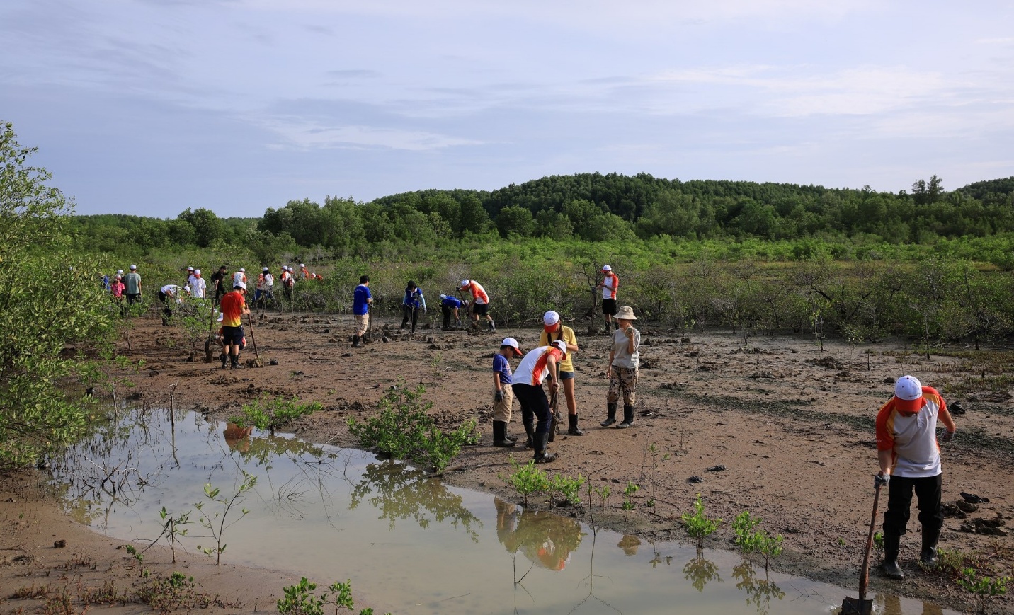 HDBank Green Marathon 2025  lan tỏa giá trị xanh bền vững- Ảnh 1.