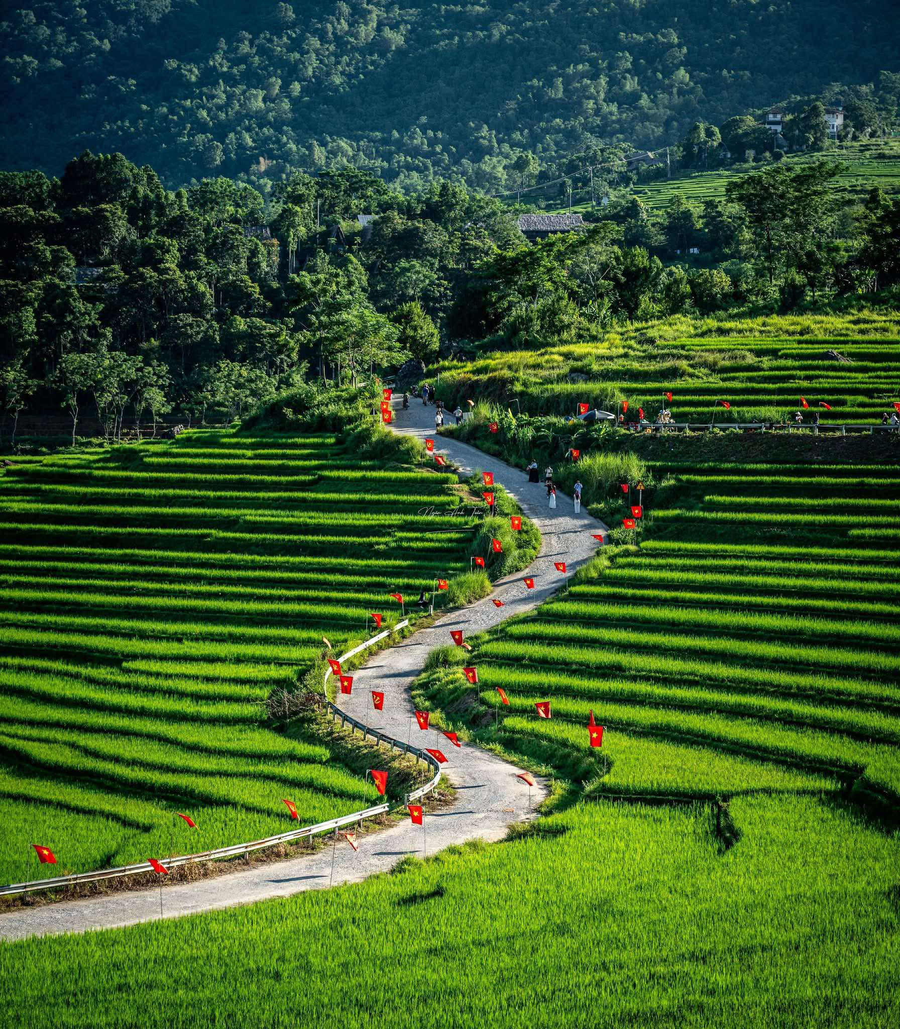 Turisták élvezik a festői, nemzeti zászlóval díszített utcát Pu Luongban - 1. kép. Du khách thích thú với đường cờ Tổ quốc đẹp như tranh vẽ ở Pù Luông- Ảnh 1.