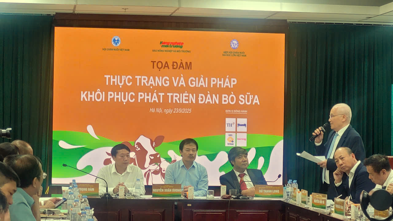 Giảm đàn bò sữa Tại thủ phủ bò sữa: Cần có chiến lược phát triển bền vững - Ảnh 1.