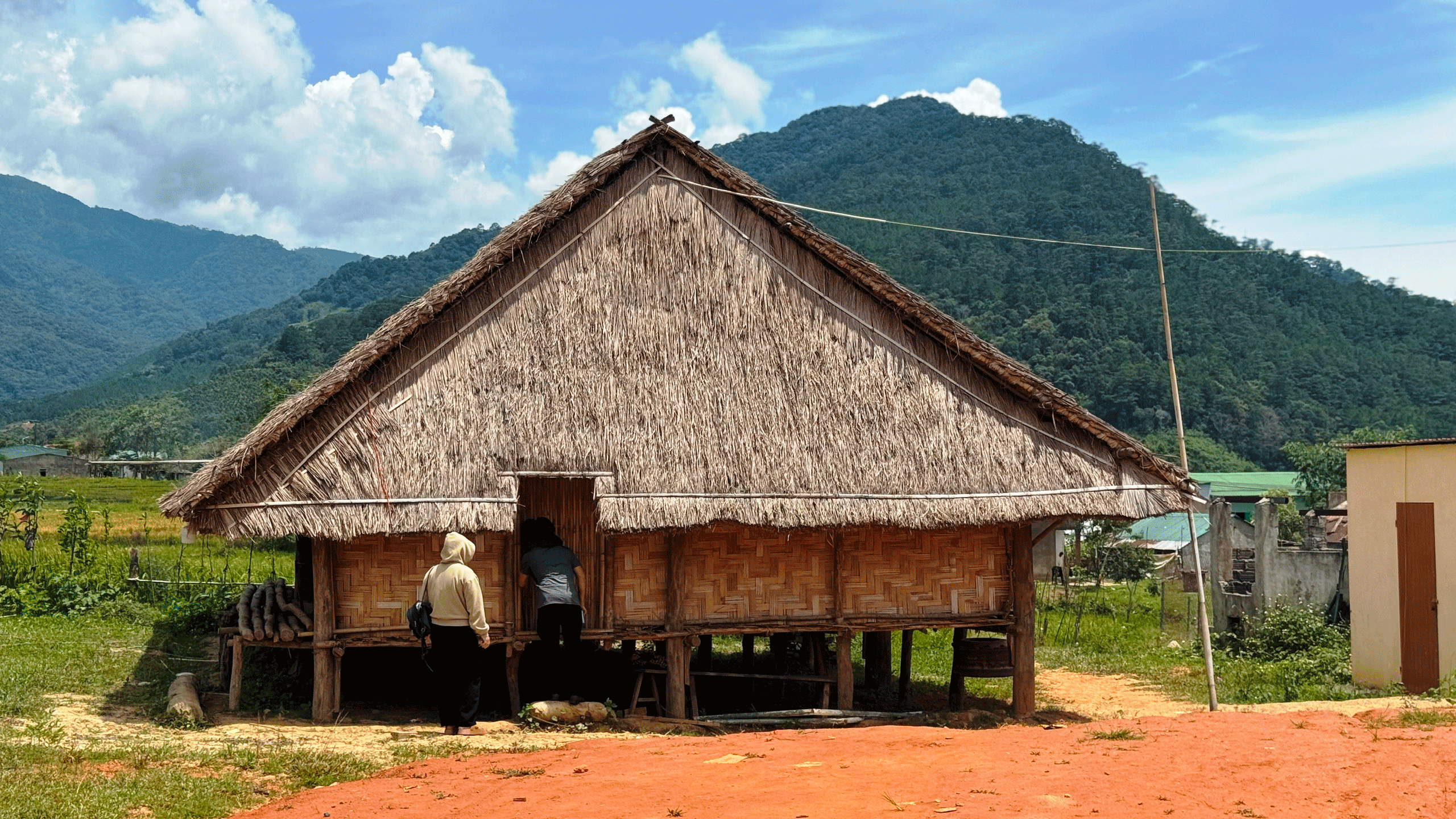 Làng xà nu thay da đổi thịt - Ảnh 2.