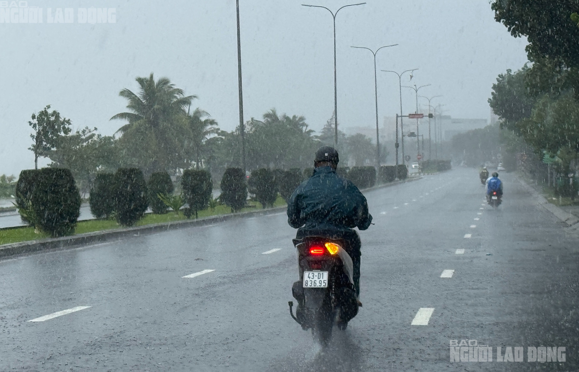 Đà Nẵng mưa lớn do bão số 10 Bualoi , gió rít nhẹ ảnh hưởng đến thành phố - Ảnh 5.