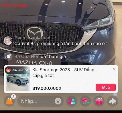 Thực hư ô tô TikTok tiền tỉ: Mua bán hay lừa đảo trên nền tảng livestream? - Ảnh 2.