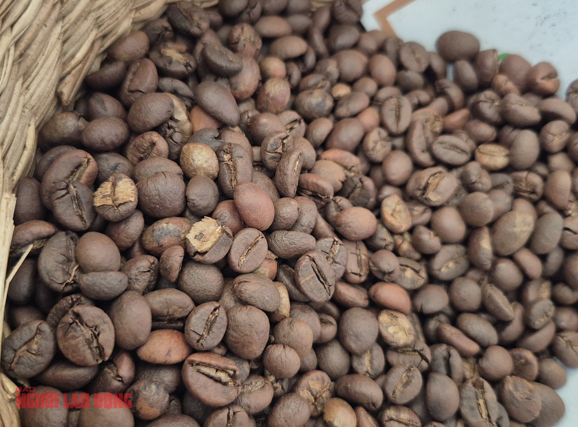 Giá cà phê hôm nay 29-9: Tuần mới giá đi về đâu?- Ảnh 1. Giá cà phê hôm nay 29-9: Tuần mới giá đi về đâu?- Ảnh 1.