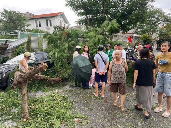 Giông lốc khiến cây phượng bất ngờ gãy đổ đè 1 cháu bé bị thương- Ảnh 1.