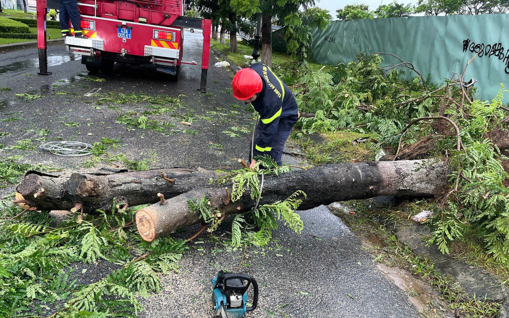 Bão số 10 Bualoi giật cấp 14, "quần thảo" từ Thanh Hóa - Bắc Hà Tĩnh trong 6-8 giờ- Ảnh 2.