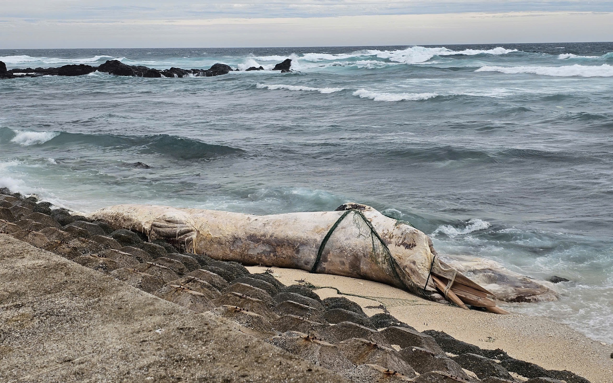 Gấp rút ứng phó bão số 10 và mưa lũ - Ảnh 1.